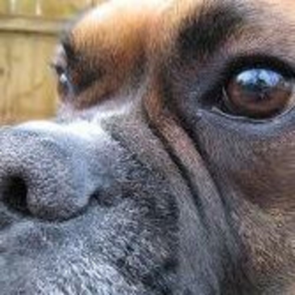 Meet your Posher, Courtney